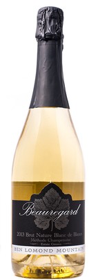 2013 Brut Nature Blanc de Blanc Bald Mountain Vineyard