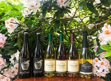 Aromatic 6 Pack