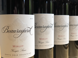 2015 Merlot Case