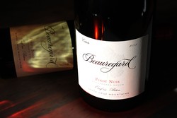 2018 Pinot Noir 'Oeuf en Béton'