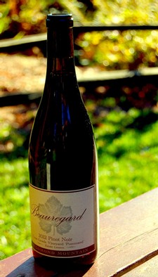2012 Pinot Noir 'Pommard'