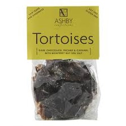 Chocolate Tortoises