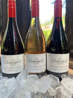 Summer Pinot 6 Pack