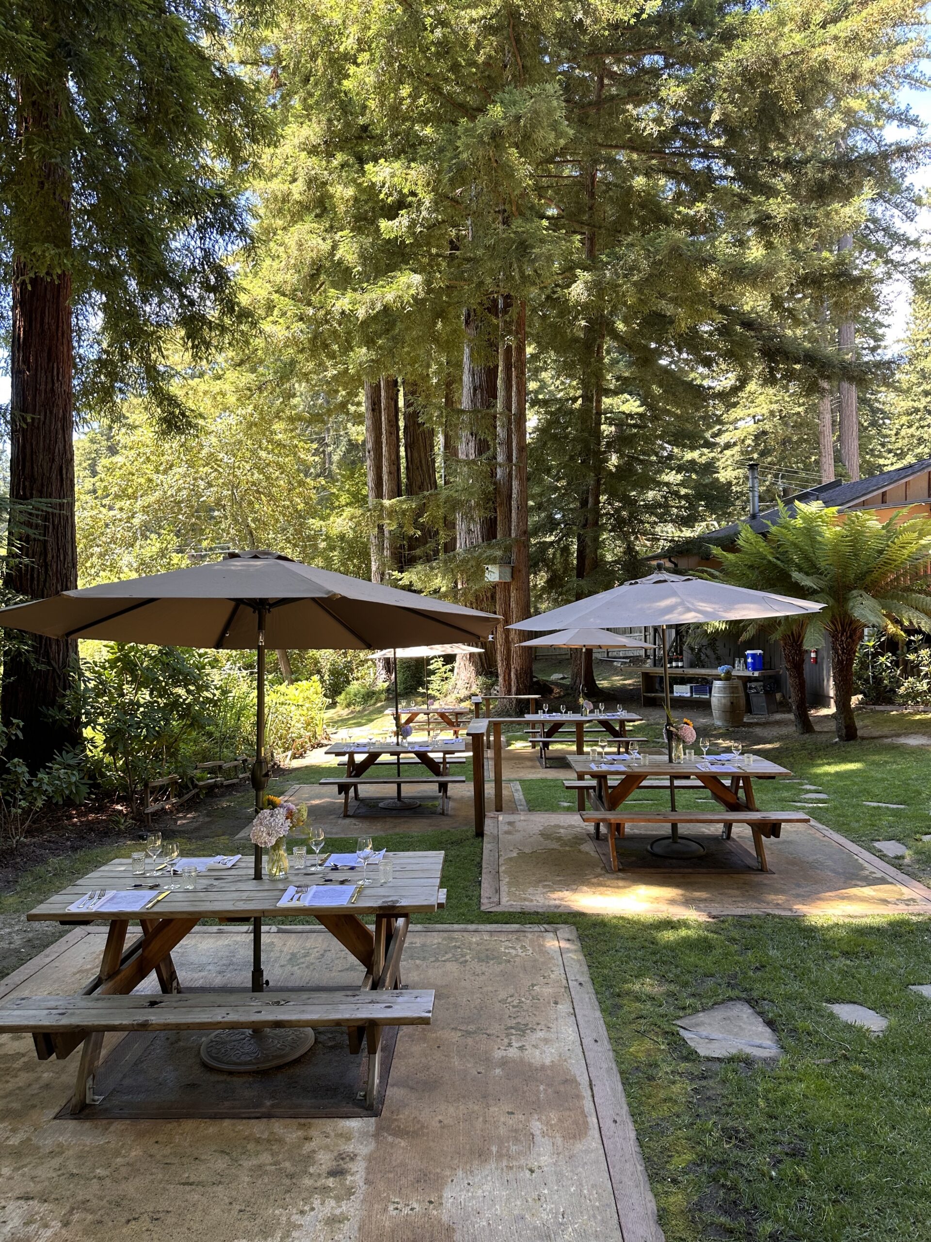 Outdoor tasting at Beauregard Vineyards