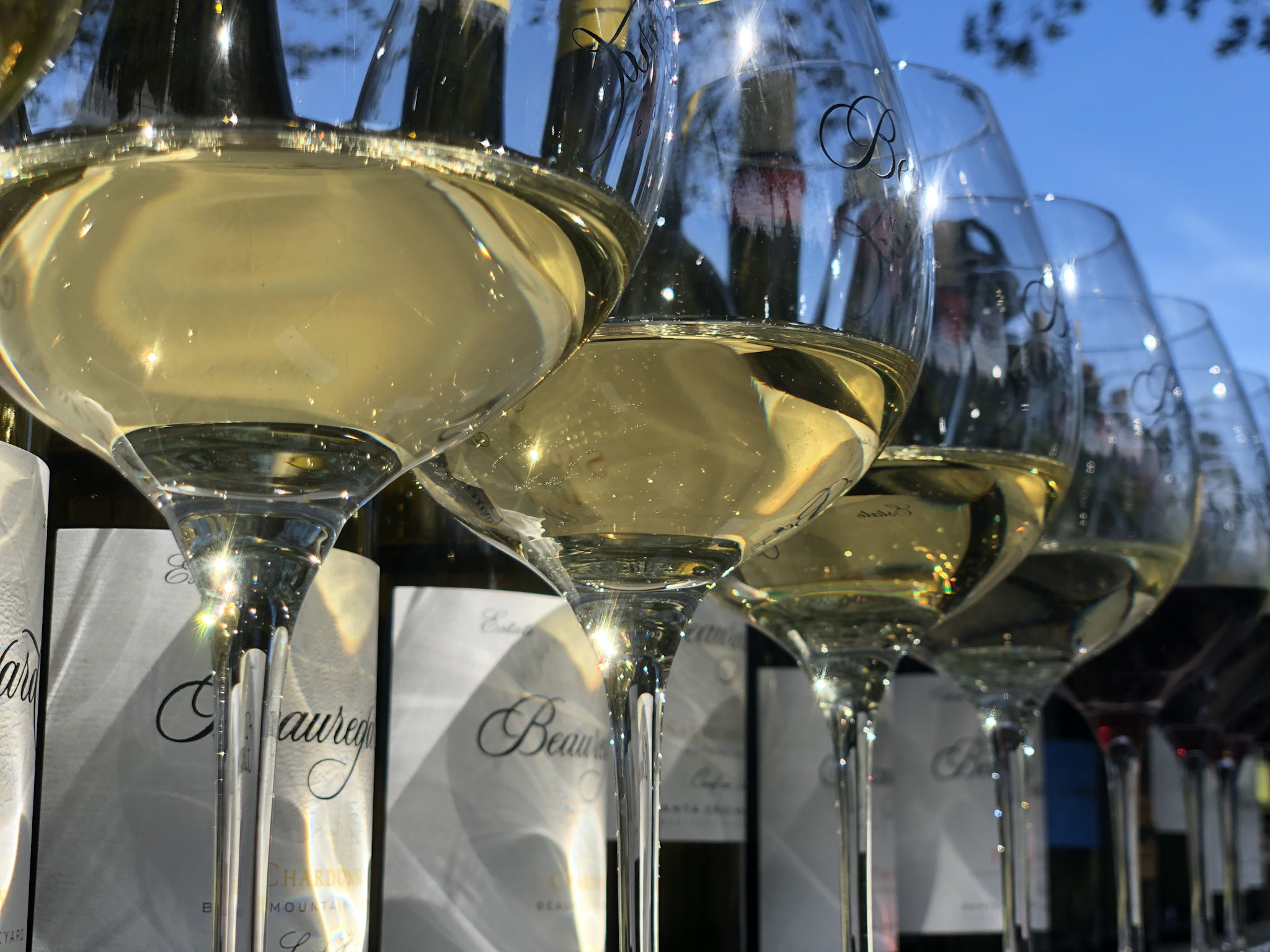 Chardonnay and ceviche pairing at Beauregard Vineyards